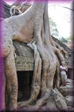 Ta Phrohm